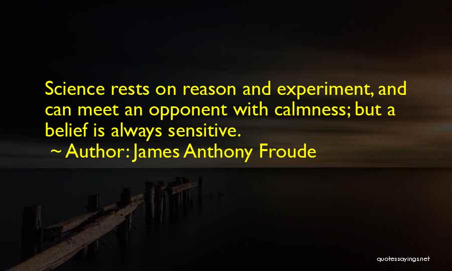 James Anthony Froude Quotes 213495