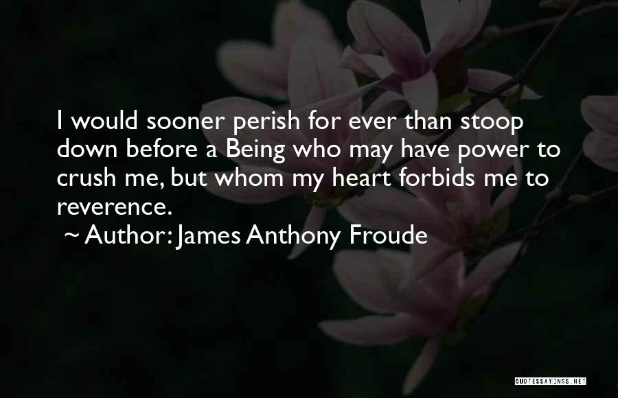 James Anthony Froude Quotes 376328