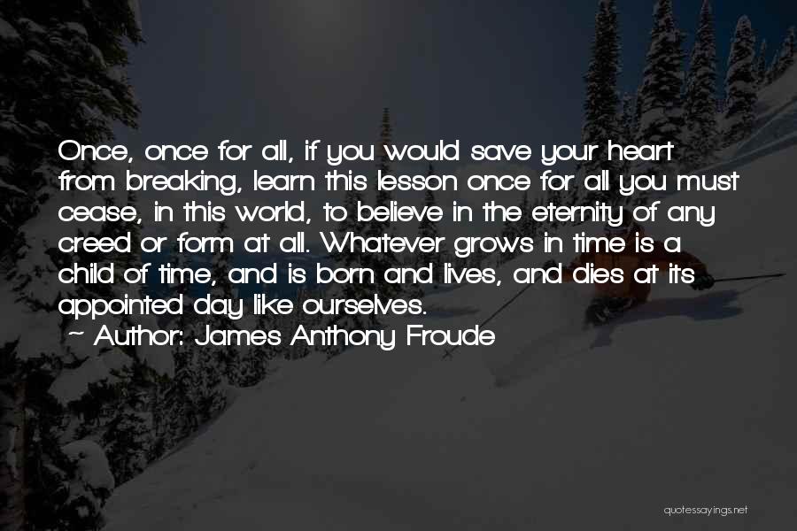 James Anthony Froude Quotes 539734