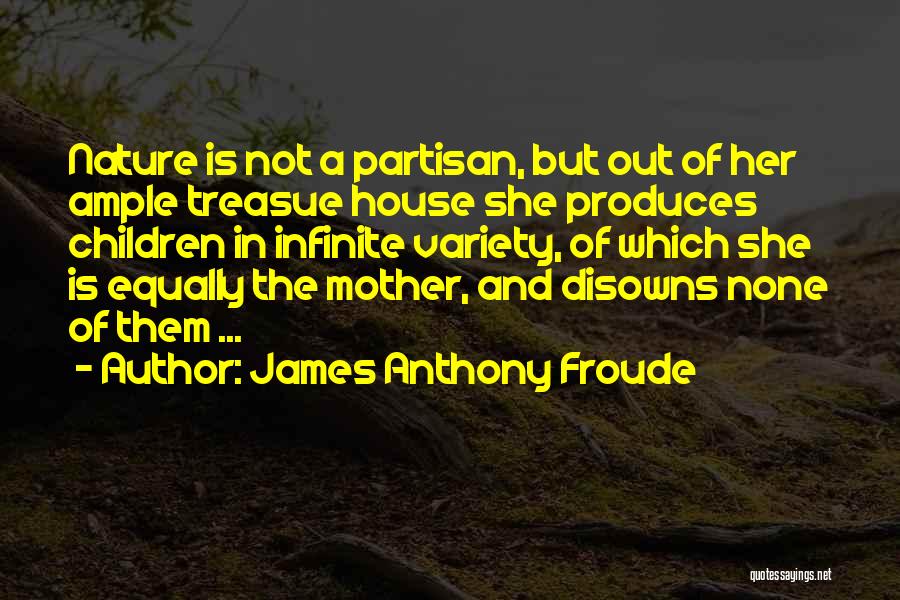 James Anthony Froude Quotes 590073