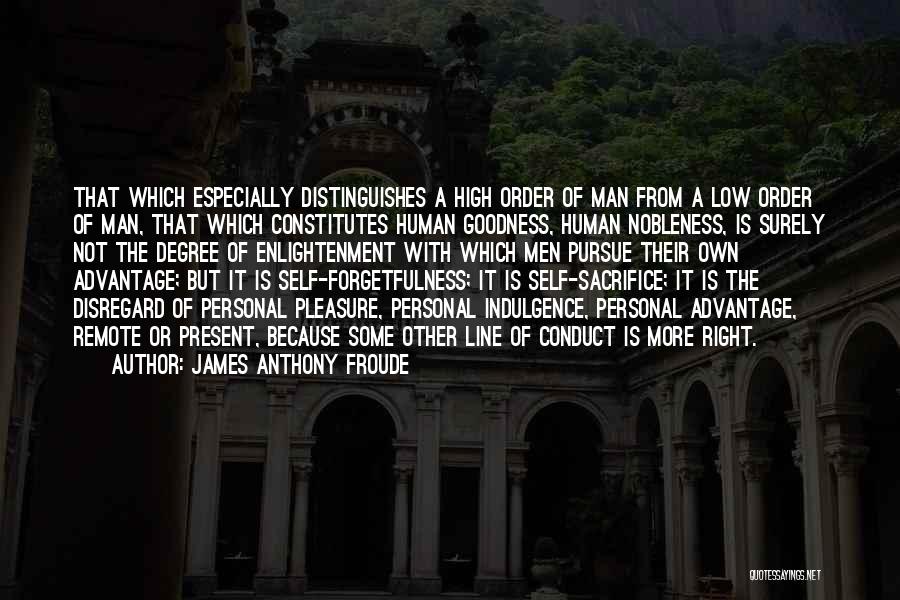 James Anthony Froude Quotes 617136