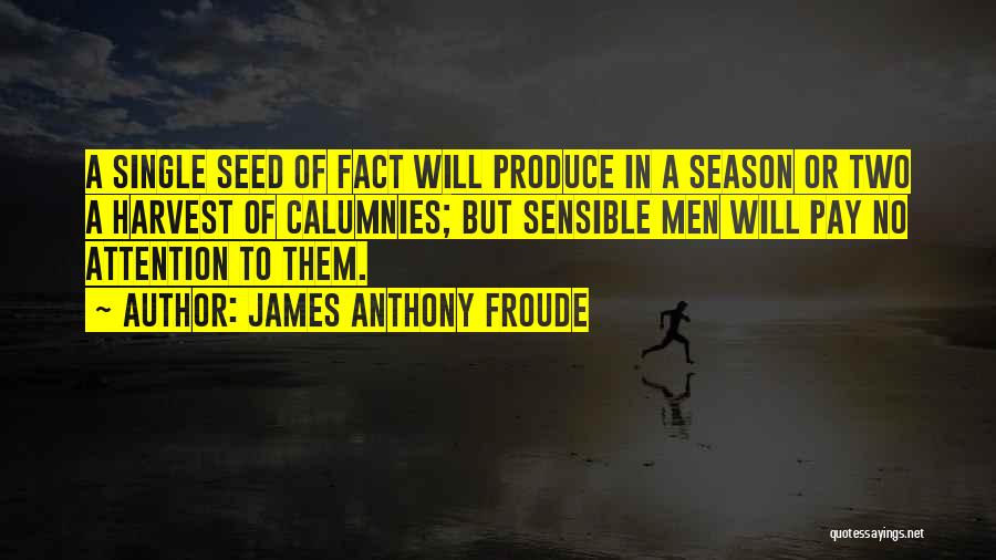 James Anthony Froude Quotes 668639