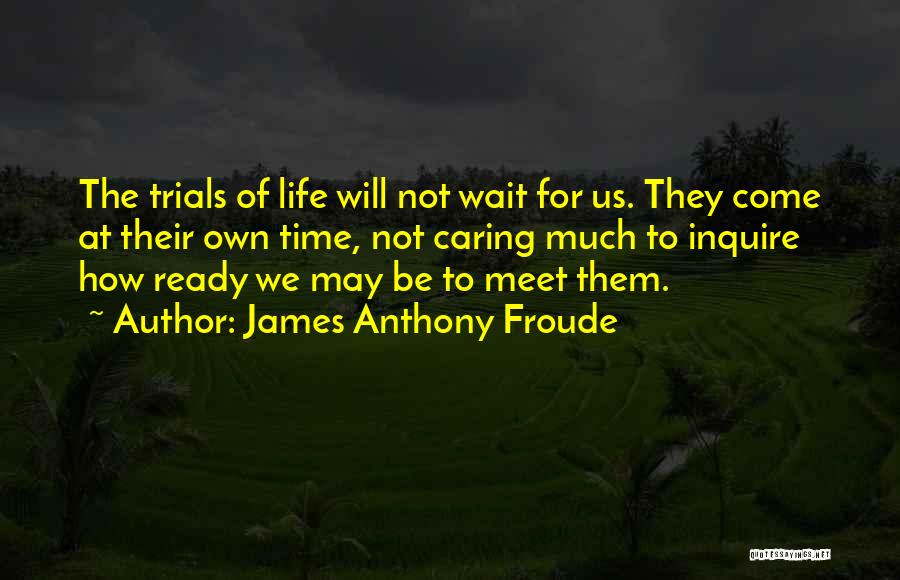 James Anthony Froude Quotes 874871