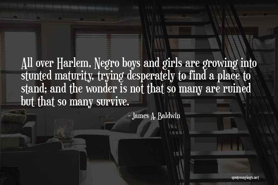 James Baldwin I Am Not Your Negro Quotes By James A. Baldwin James Baldwin I Am Not Your Negro Quotes By James A. Baldwin
