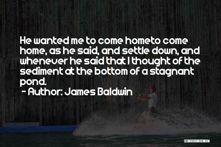 James Baldwin Quotes 1559174