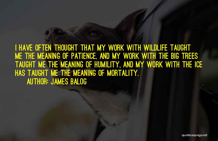 James Balog Quotes 238049