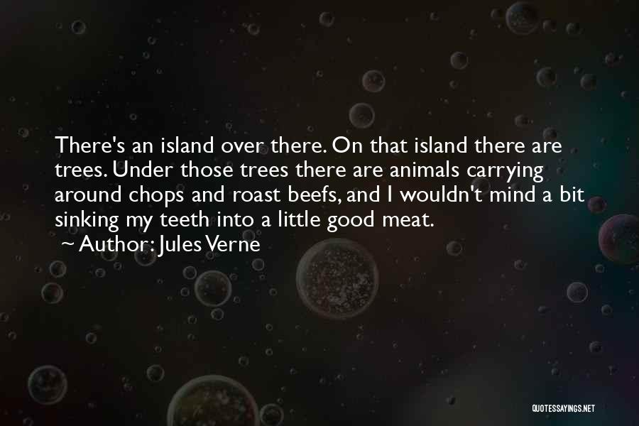 James Belich Quotes By Jules Verne