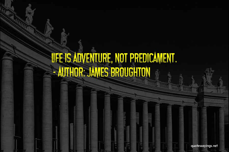 James Broughton Quotes 1619757
