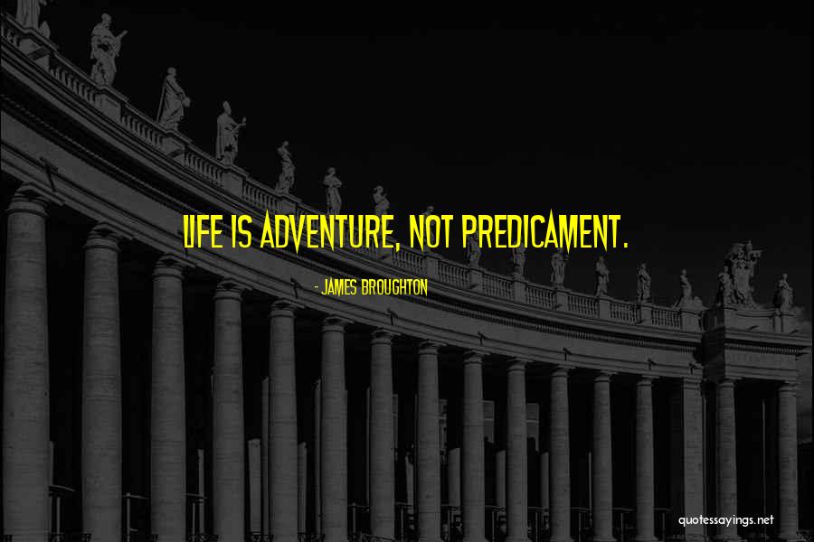 James Broughton Quotes 1619757 James Broughton Quotes 1619757