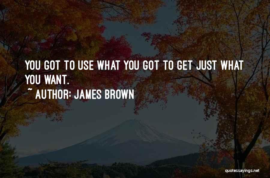 James Brown Quotes 2022453