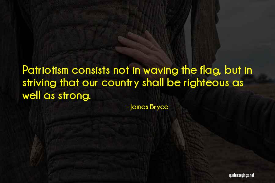 James Bryce Quotes 1875784