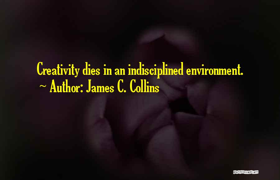 James C. Collins Quotes 1260123