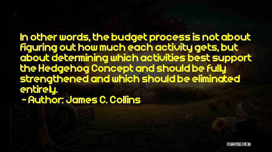 James C. Collins Quotes 381101
