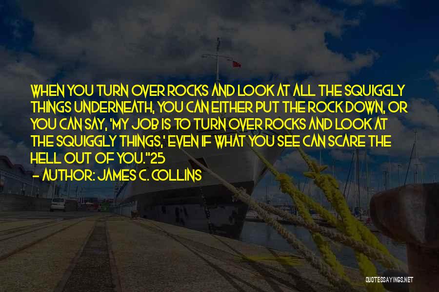 James C. Collins Quotes 528351