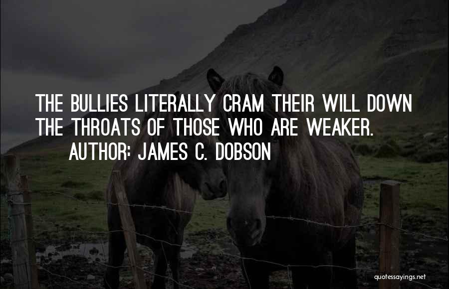 James C. Dobson Quotes 1417874