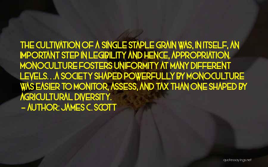 James C. Scott Quotes 1854628