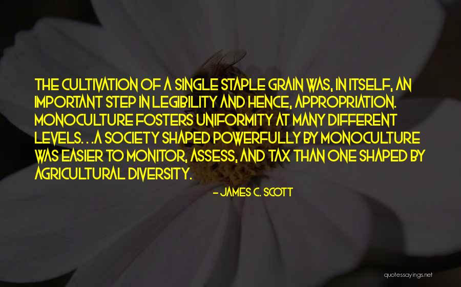 James C. Scott Quotes 1854628