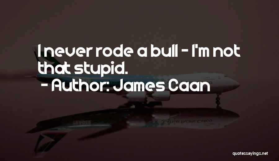 James Caan Quotes 1235062