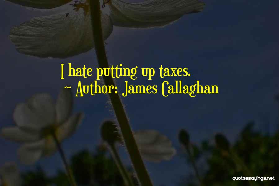 James Callaghan Quotes 2108687