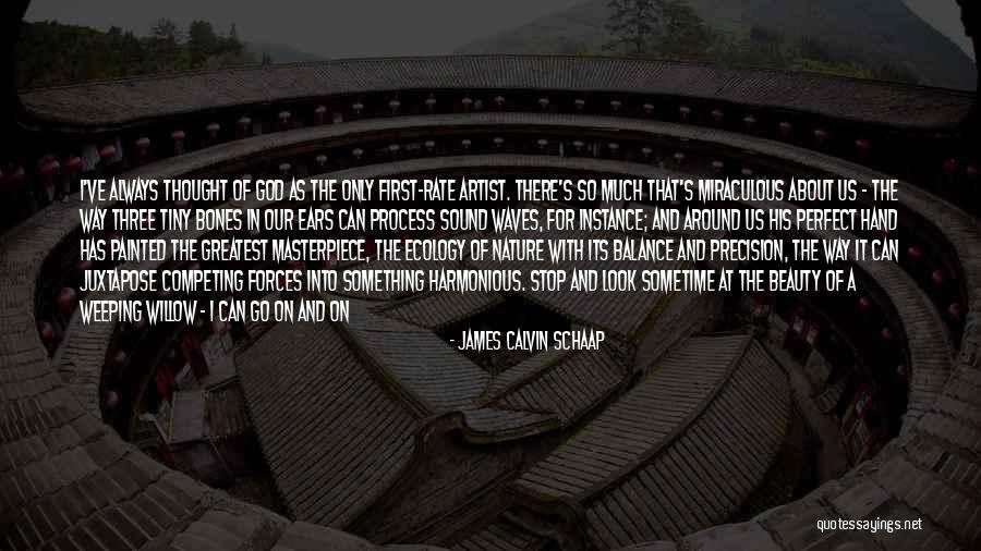 James Calvin Schaap Quotes 998649 James Calvin Schaap Quotes 998649