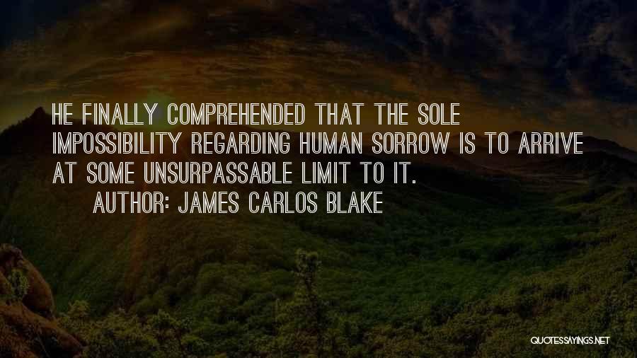 James Carlos Blake Quotes 554668