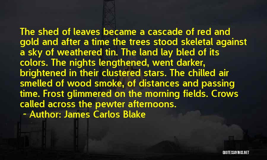 James Carlos Blake Quotes 590569