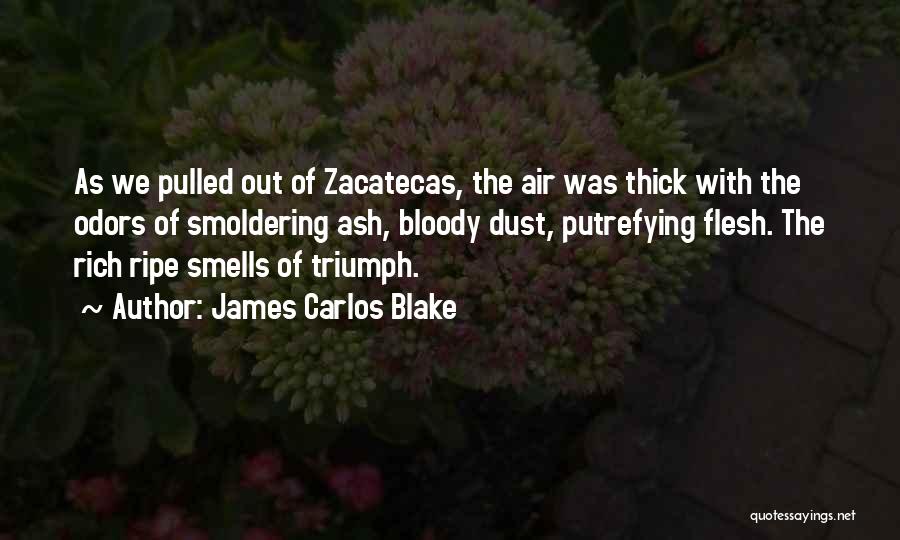 James Carlos Blake Quotes 709340