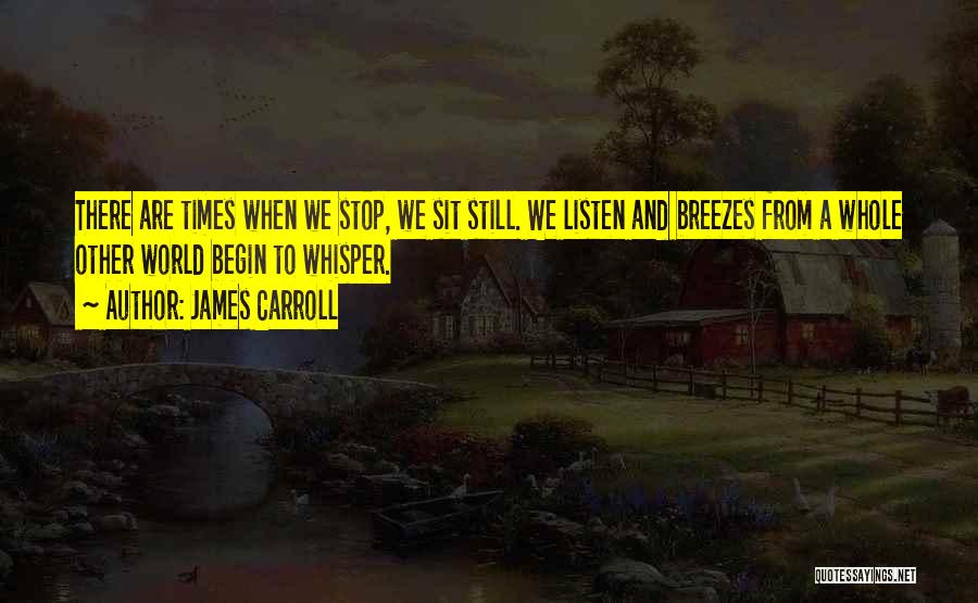 James Carroll Quotes 2084745