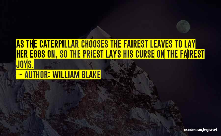 James Casey Ups Quotes By William Blake