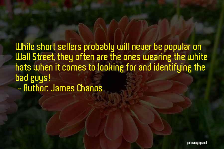 James Chanos Quotes 1367159