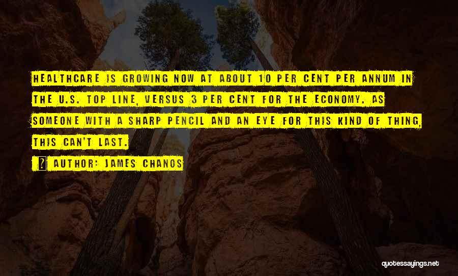 James Chanos Quotes 317727