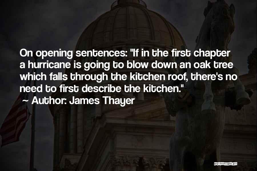 James Chapter 1 Quotes By James Thayer