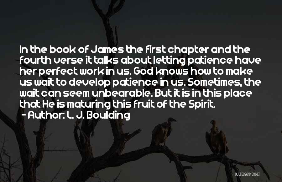 James Chapter 1 Quotes By L. J. Boulding
