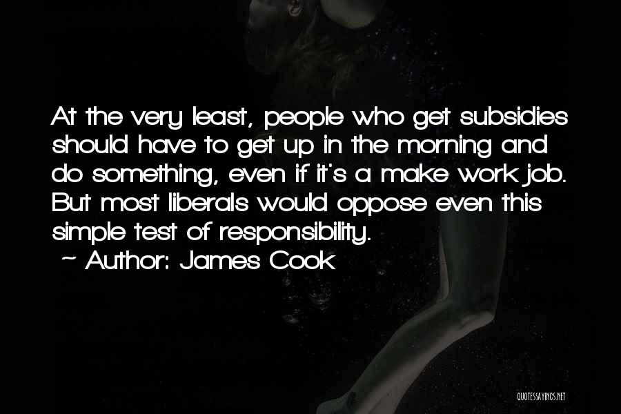 James Cook Quotes 1355203