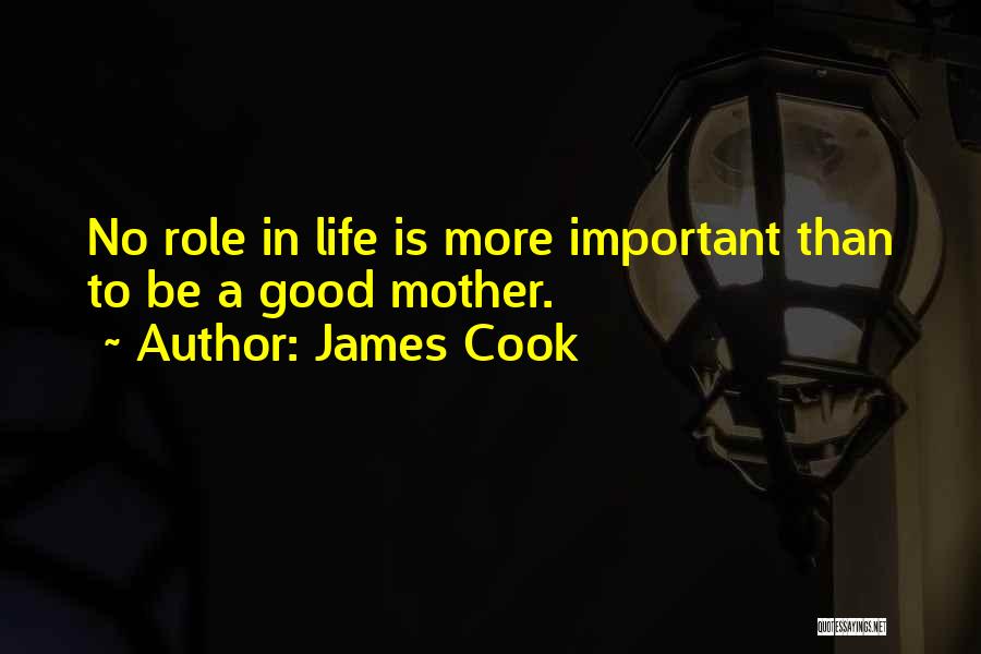 James Cook Quotes 1643254