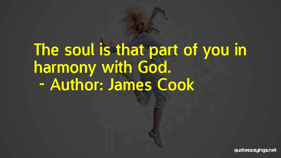 James Cook Quotes 1919836