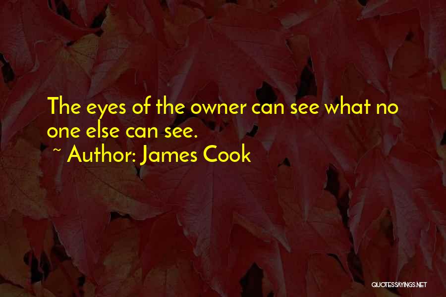 James Cook Quotes 469246