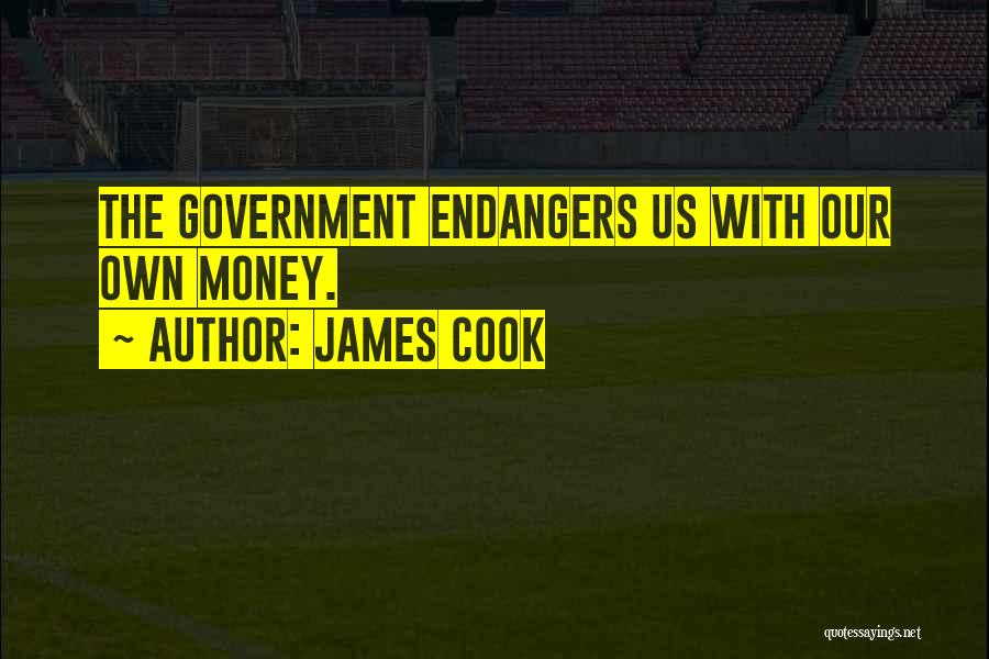 James Cook Quotes 620926