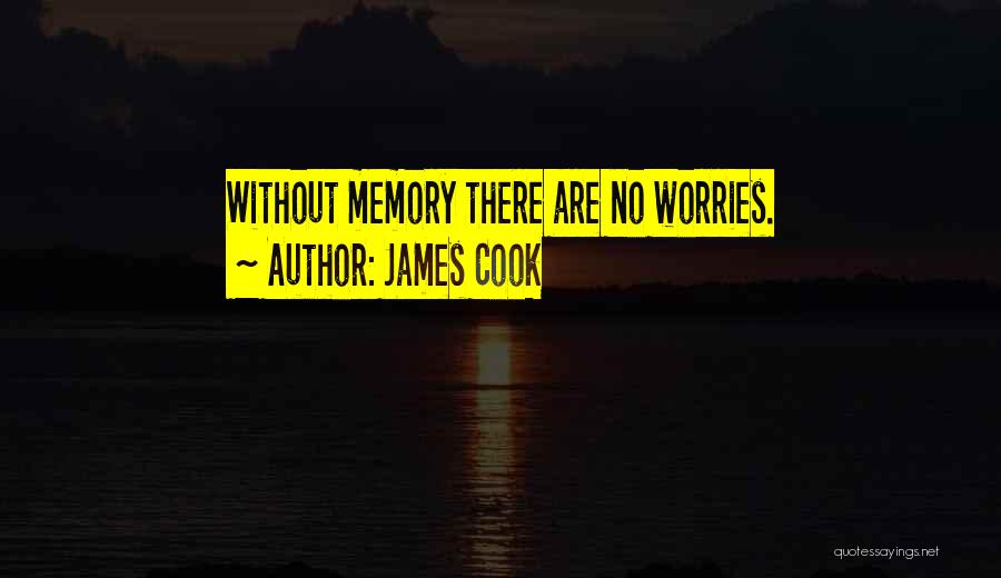 James Cook Quotes 649724