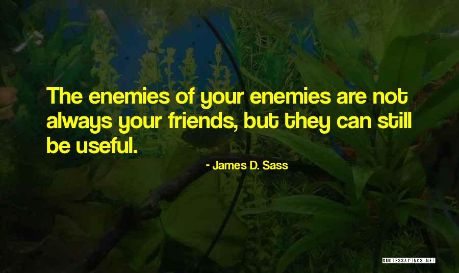 James D. Sass Quotes 704279 James D. Sass Quotes 704279