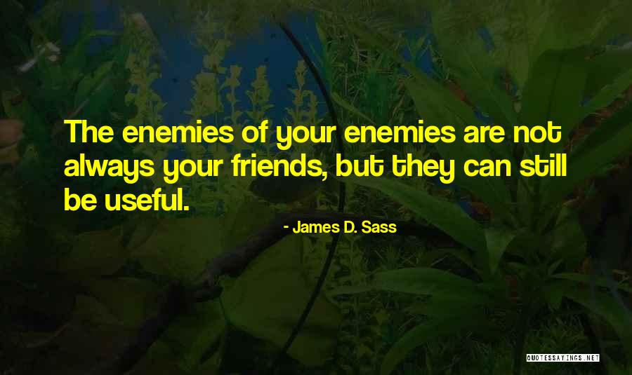 James D. Sass Quotes 704279