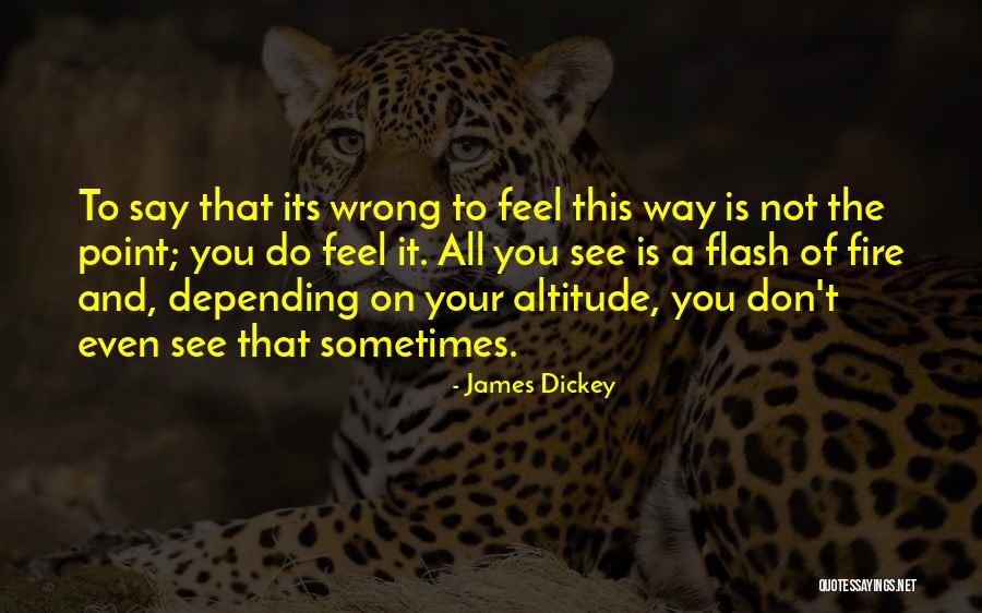 James Dickey Quotes 1024260