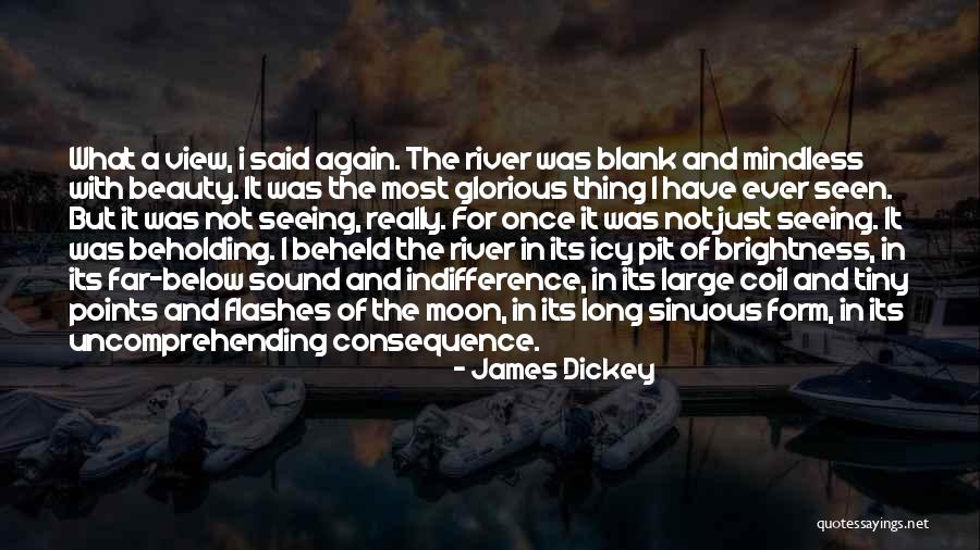 James Dickey Quotes 410613