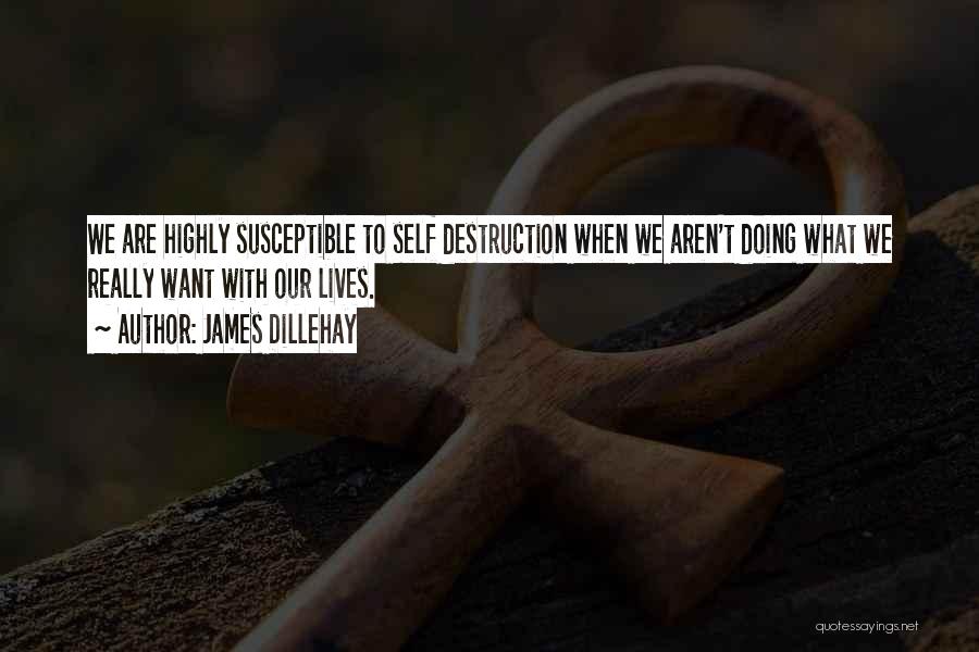 James Dillehay Quotes 2250066