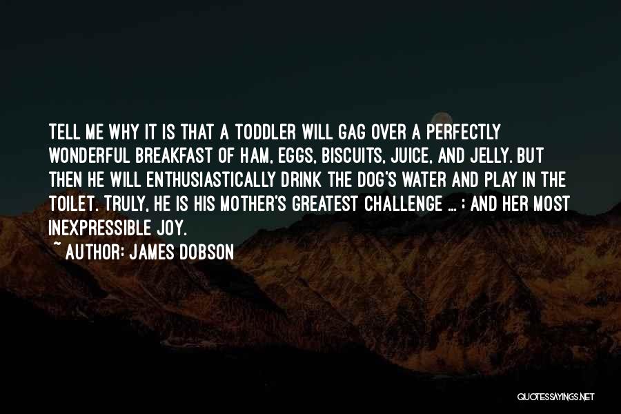 James Dobson Quotes 1938554