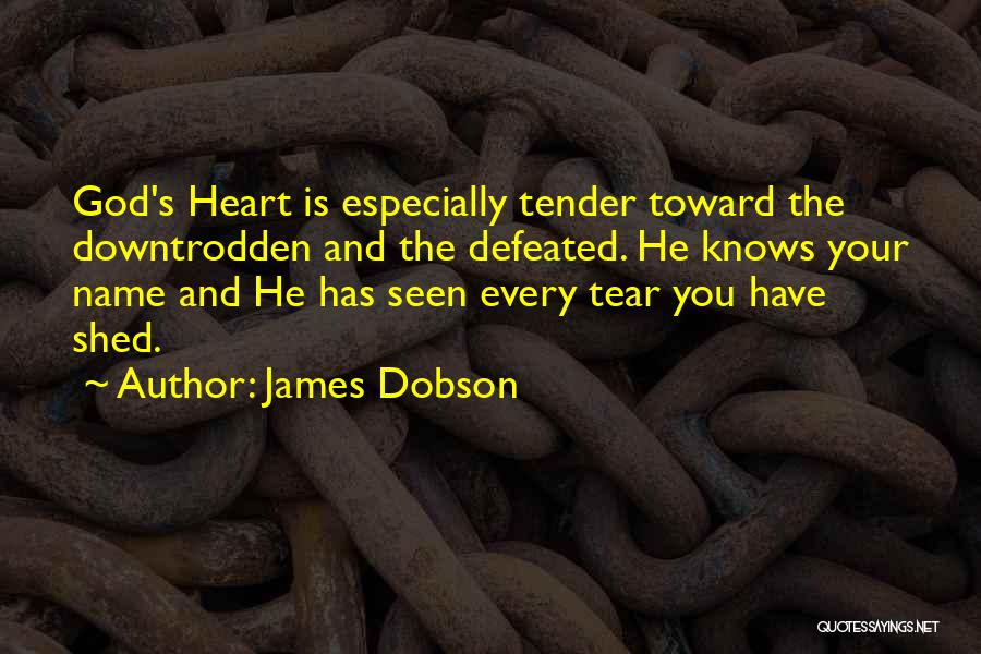 James Dobson Quotes 351991