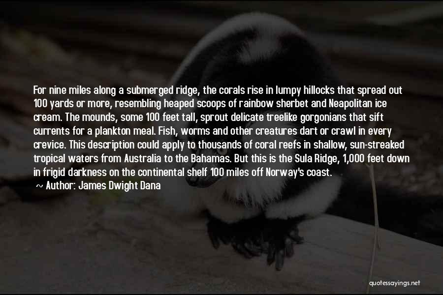 James Dwight Dana Quotes 1587377