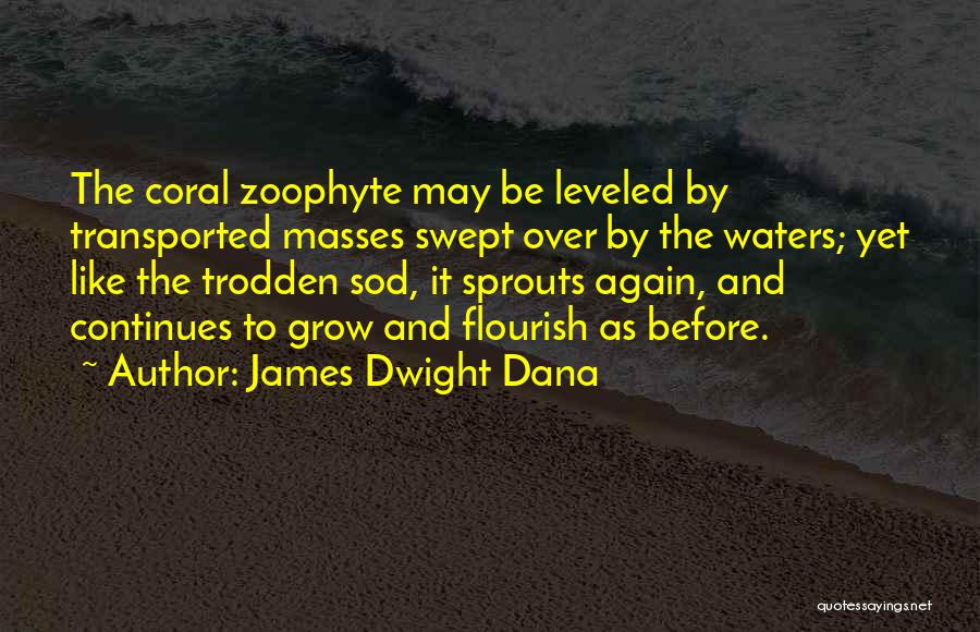 James Dwight Dana Quotes 571904