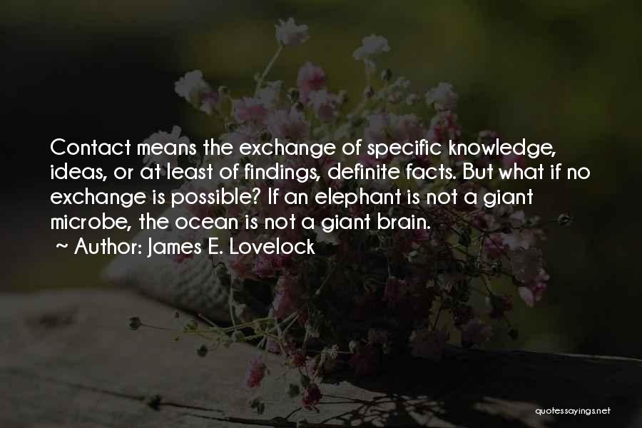 James E. Lovelock Quotes 1649630