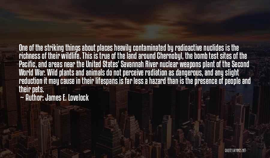 James E. Lovelock Quotes 1693984